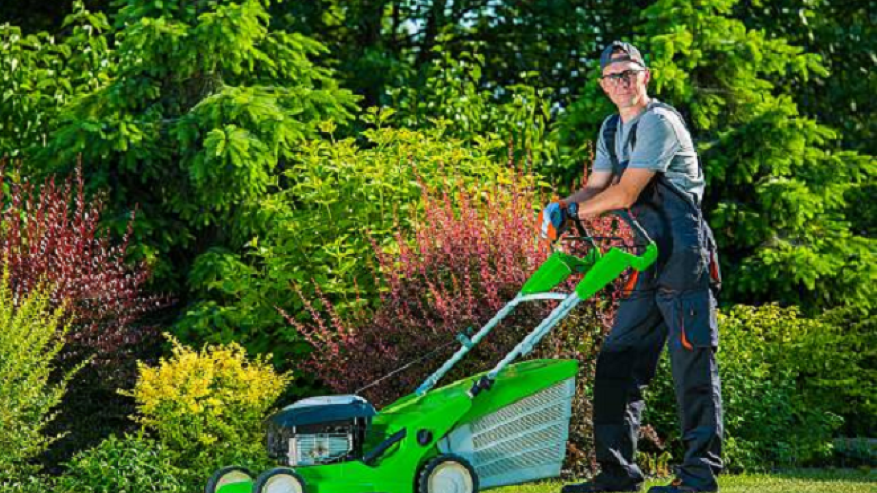 Lawn & Landscape Maintenance + Snow Removal